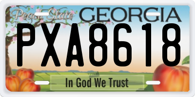 GA license plate PXA8618