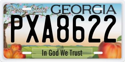 GA license plate PXA8622