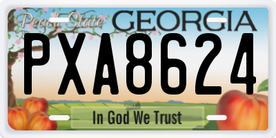GA license plate PXA8624