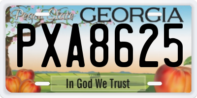 GA license plate PXA8625