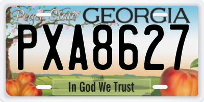 GA license plate PXA8627