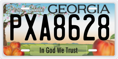GA license plate PXA8628