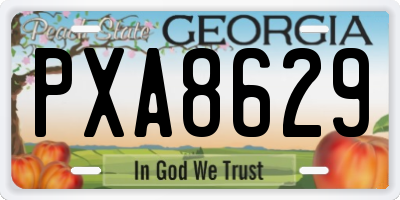 GA license plate PXA8629