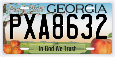 GA license plate PXA8632