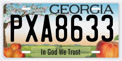 GA license plate PXA8633