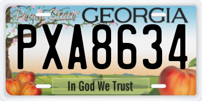 GA license plate PXA8634