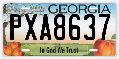 GA license plate PXA8637