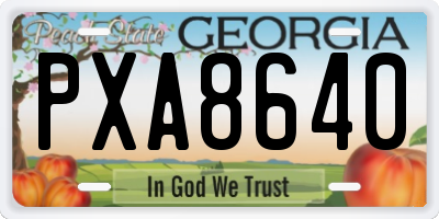 GA license plate PXA8640