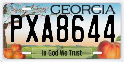 GA license plate PXA8644