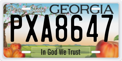 GA license plate PXA8647