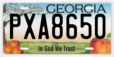 GA license plate PXA8650