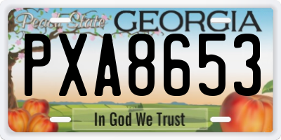 GA license plate PXA8653