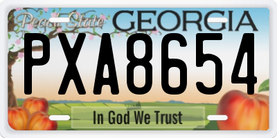 GA license plate PXA8654