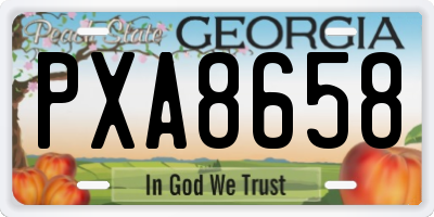 GA license plate PXA8658