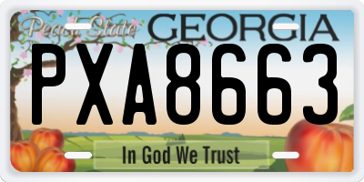 GA license plate PXA8663