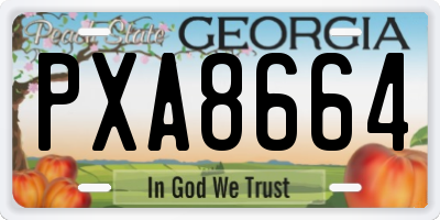 GA license plate PXA8664
