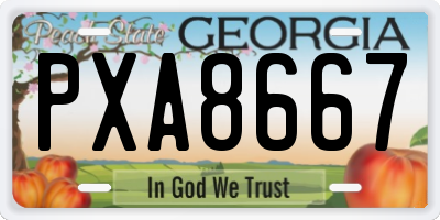 GA license plate PXA8667
