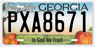 GA license plate PXA8671
