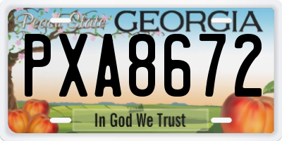 GA license plate PXA8672