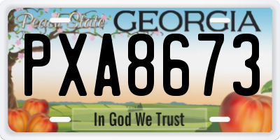 GA license plate PXA8673