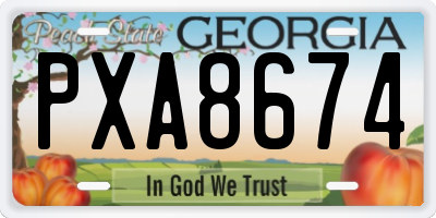 GA license plate PXA8674