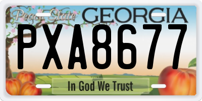 GA license plate PXA8677