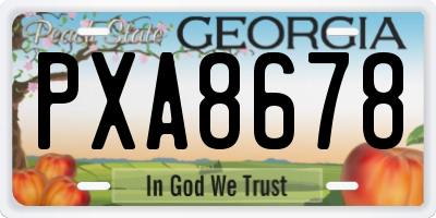 GA license plate PXA8678