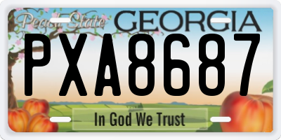 GA license plate PXA8687