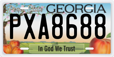GA license plate PXA8688