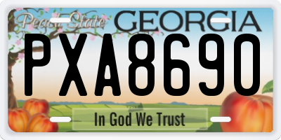 GA license plate PXA8690