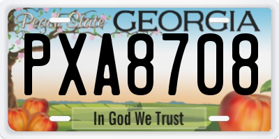 GA license plate PXA8708