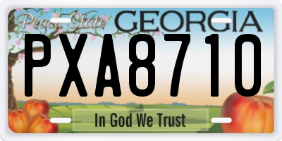 GA license plate PXA8710