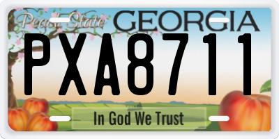 GA license plate PXA8711