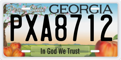 GA license plate PXA8712