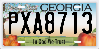 GA license plate PXA8713