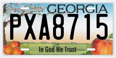 GA license plate PXA8715
