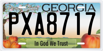GA license plate PXA8717