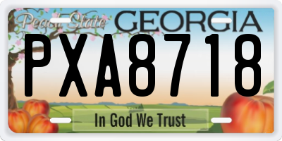 GA license plate PXA8718