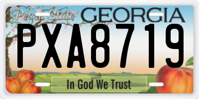 GA license plate PXA8719
