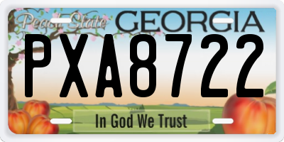 GA license plate PXA8722
