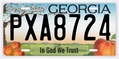 GA license plate PXA8724