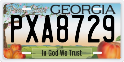 GA license plate PXA8729