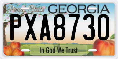 GA license plate PXA8730
