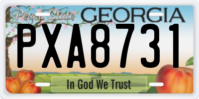 GA license plate PXA8731
