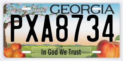 GA license plate PXA8734