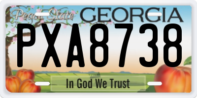 GA license plate PXA8738
