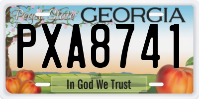 GA license plate PXA8741