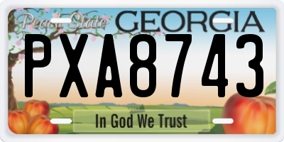 GA license plate PXA8743
