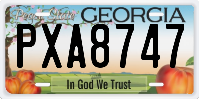 GA license plate PXA8747