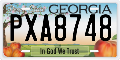 GA license plate PXA8748